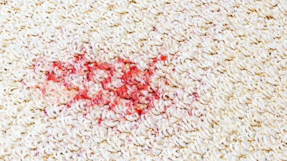 How To Patch Carpet (In 3 Easy Steps) Home Decor Chat
