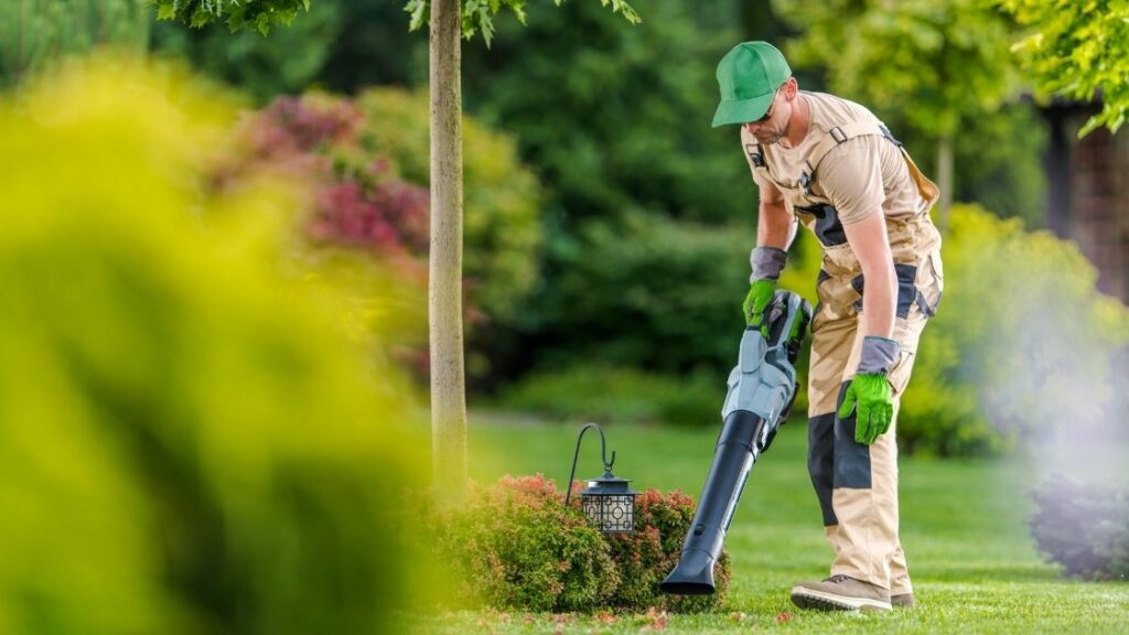 How Much Will a Lawn Care Service Cost