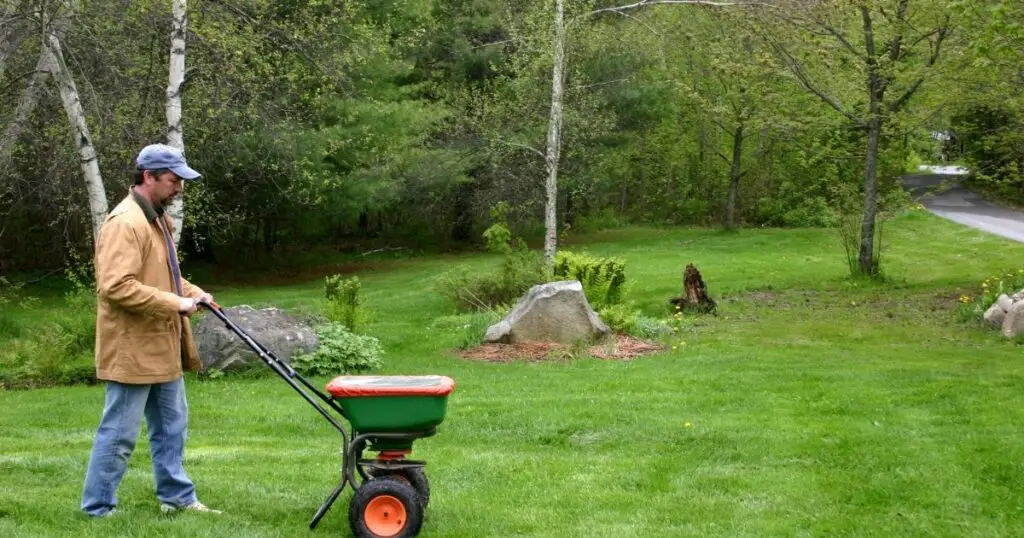 Choose the Right Natural Grass Fertilizer