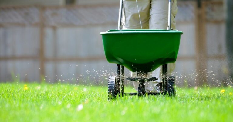 Is there a natural grass fertilizer