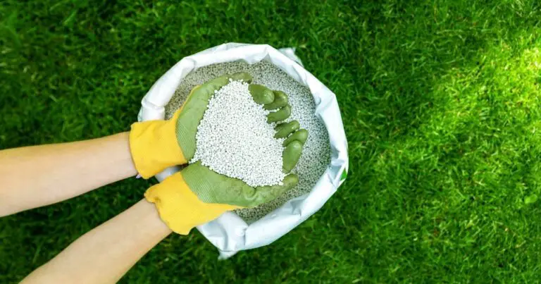 The Best Organic Lawn Fertilizer For Your Garden