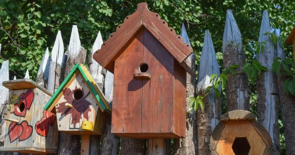 Fill the Birdhouse with Perches and Toys