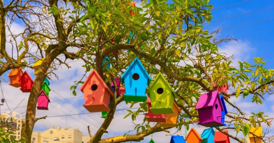 How To Attract Birds To A Birdhouse Home Decor Chat