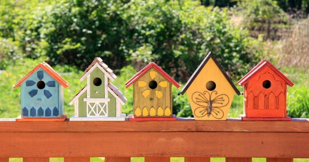 How To Attract Birds To A Birdhouse Home Decor Chat