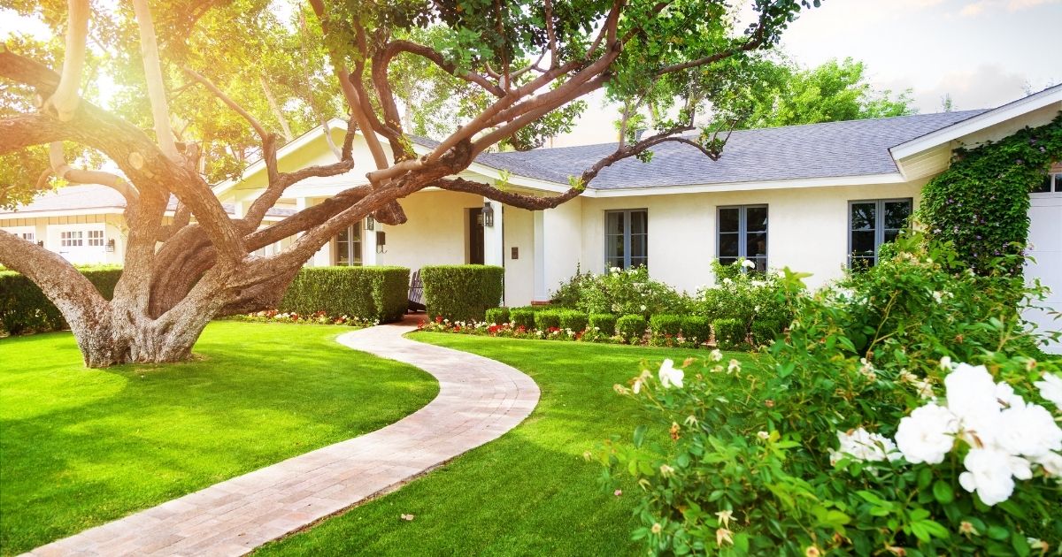 5 Ways to Make Your Front Yard Look More Expensive Home Decor Chat