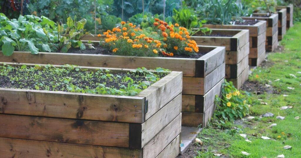 Going Deep The Ideal Depth for a Raised Garden Bed