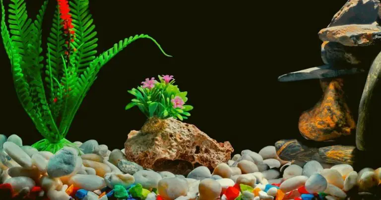How can I decorate my fish tank on a budget