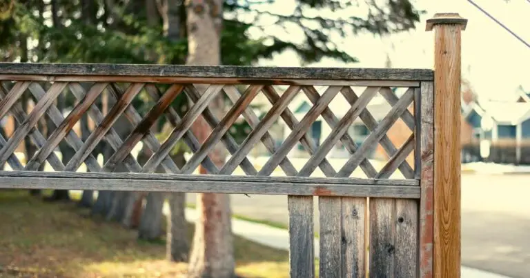 How long will a lattice fence last