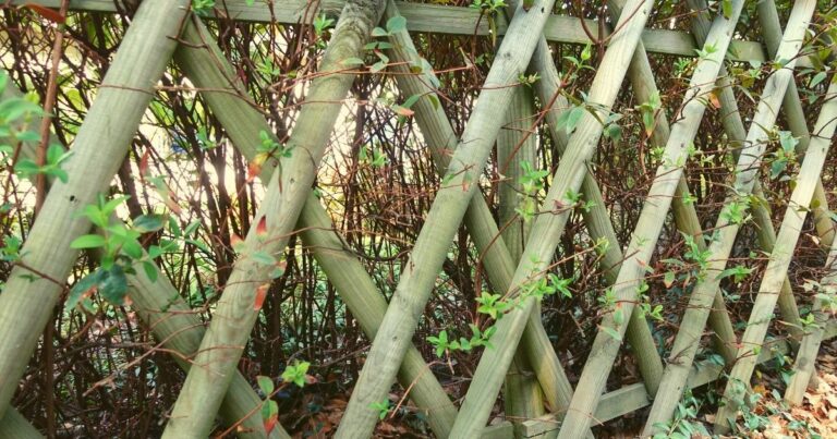 How to Make a Cheap Lattice Fence