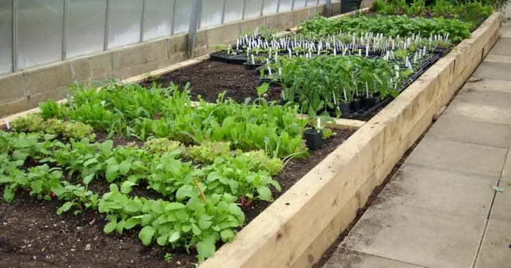Laying the Foundation: What to Put on the Bottom of Raised Beds - Home ...