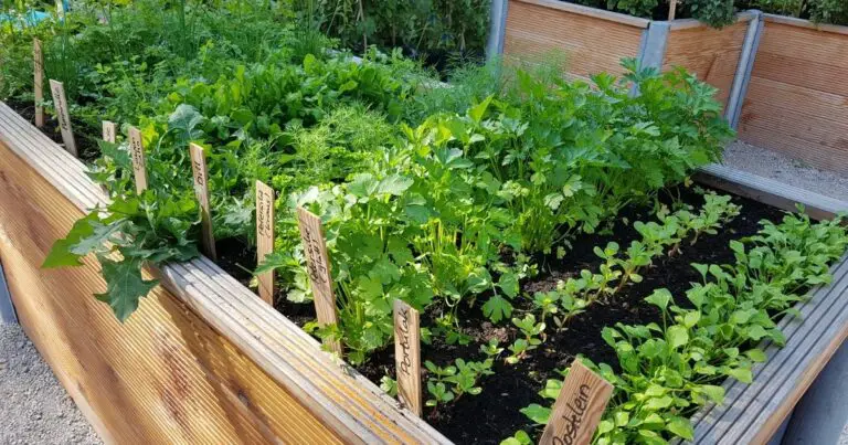 What Goes on the Bottom of a Raised Garden Bed