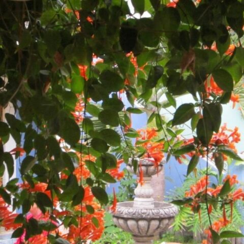 0w5LArn4V637Hm69o7WjPj1h