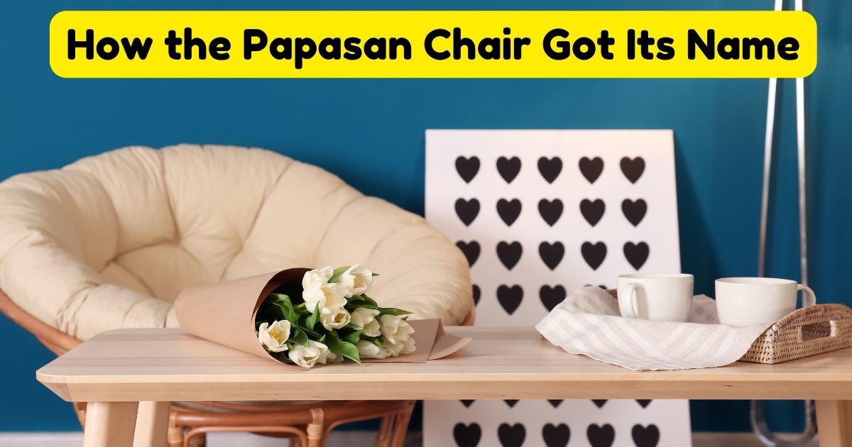 How the Papasan Chair Got Its Name Home Decor Chat