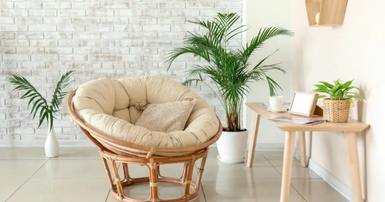 Why are Papasan chairs so comfy The secret is in the design