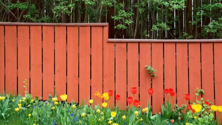 Budget Friendly Ideas for Landscaping a Sloped Backyard 1536×864