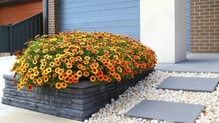 Easy and Inexpensive Front Yard Landscaping Ideas with Rocks and Mulch 1536×864