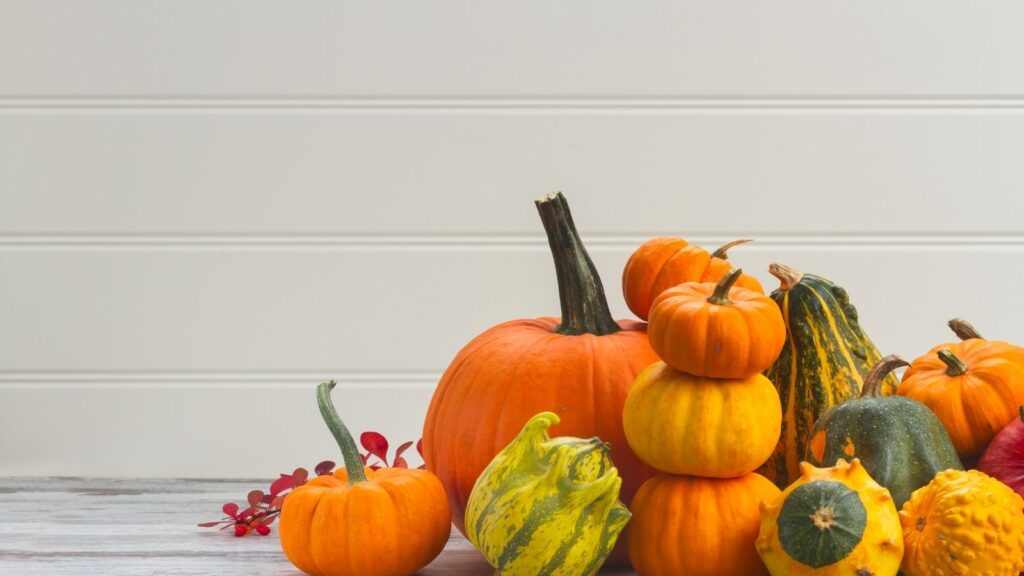 Maximize Your Garden’s Potential with Pumpkin Companion Plants