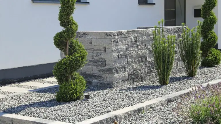 Small Backyard Ideas no Grass