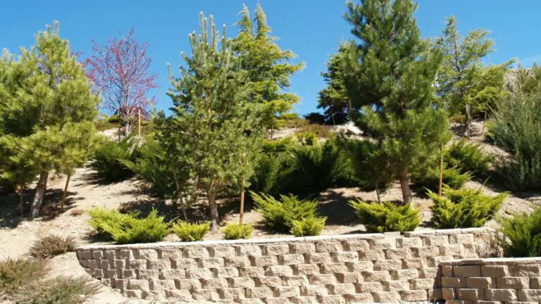 Think Outside the Box Retaining Wall Ideas for a Sloped Backyard 1536×864 1