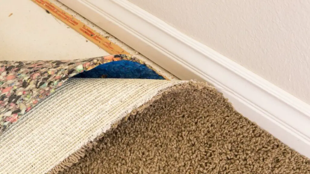 Adding carpet padding