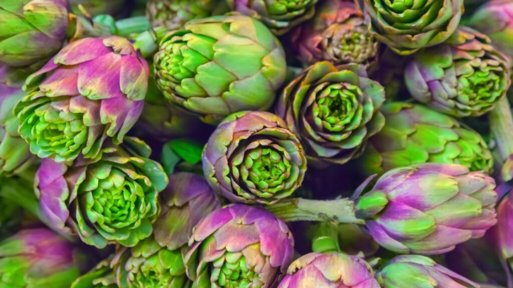 Artichokes as a source of antioxidants