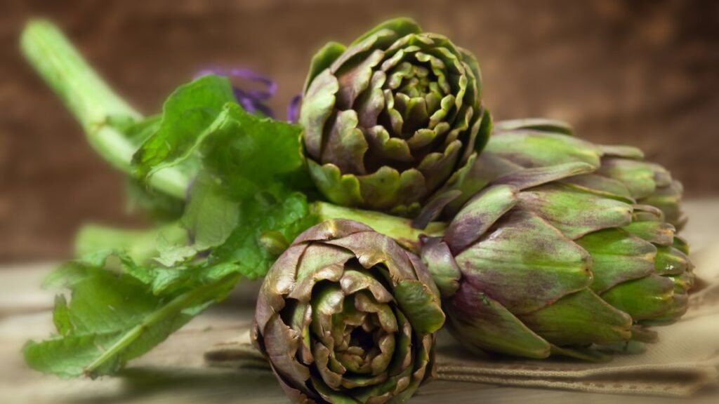 Artichokes as a source of vitamins