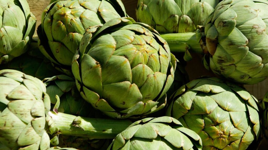 Artichokes as a versatile vegetable