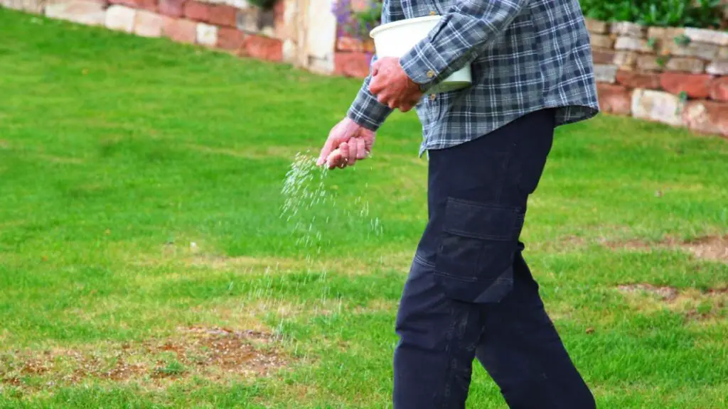 Balancing Natural Fertilization with Lawn Care