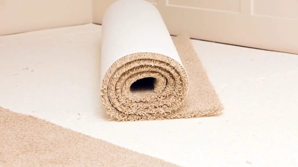 Best value living room carpet