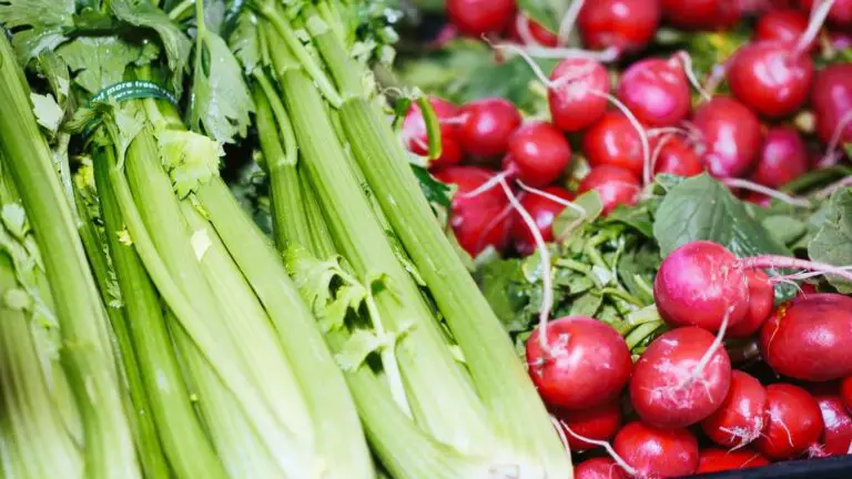 Celery Companion Planting Guide