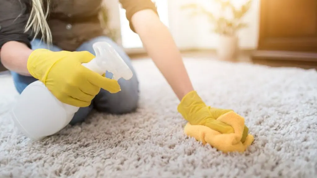 Cushioning Your Carpet Investment