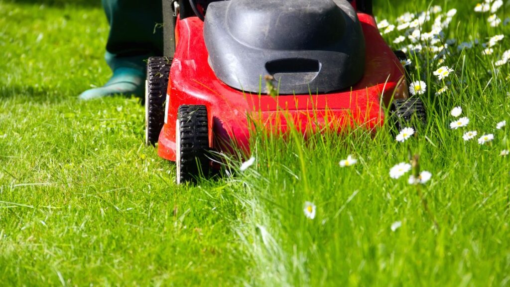 DIY Lawn Care Pros and Cons