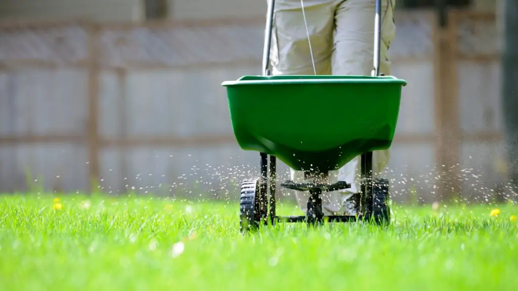 Debunking Myths About Natural Fertilizers