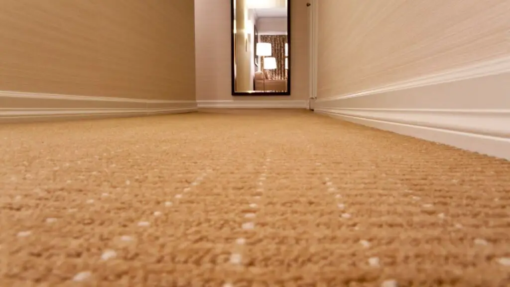 Durable carpet for rental prperty