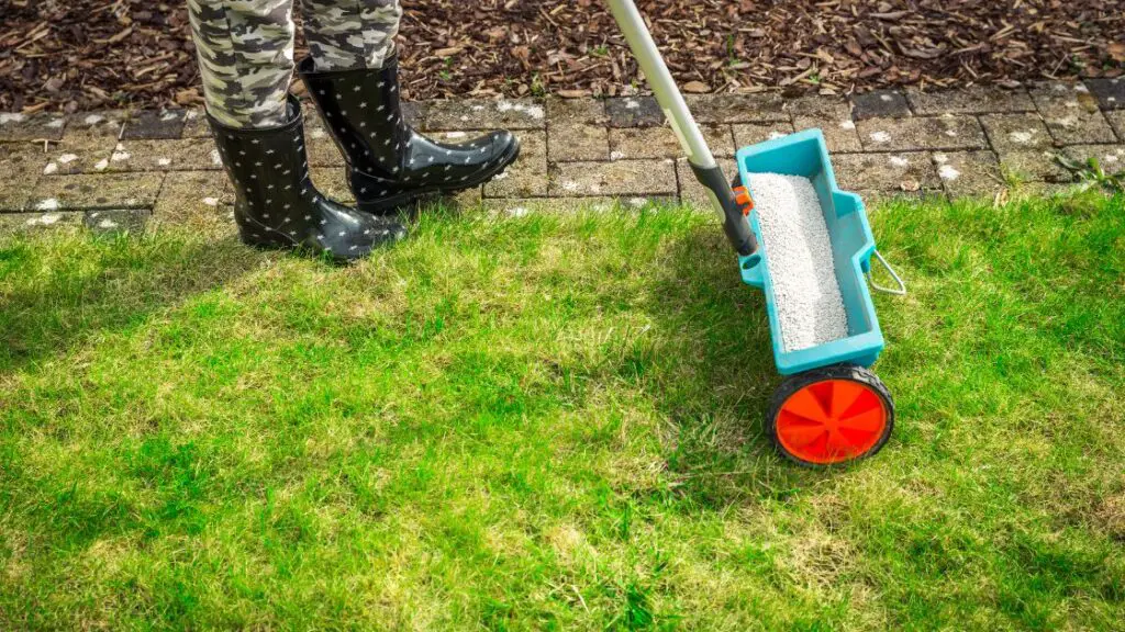 Evidence Demonstrating Natural Fertilizer Efficacy