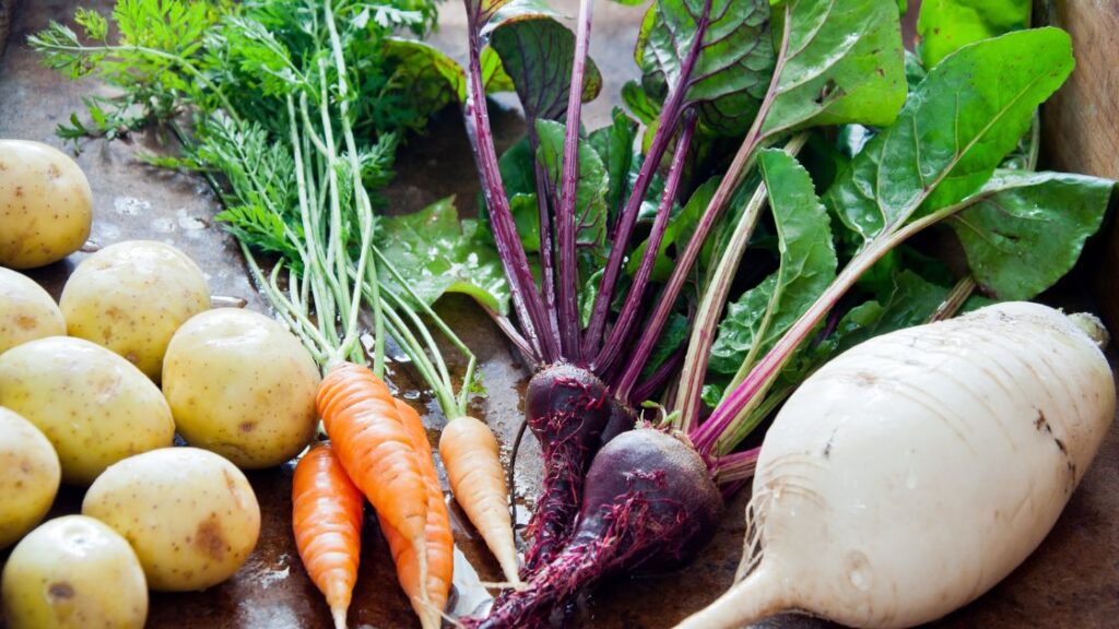 Turnip Companions Boost Your Harvest with These Plants! Home Decor Chat