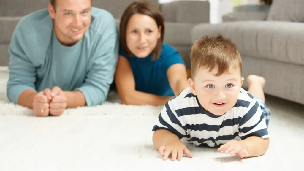 Introduction to Living Room Carpets