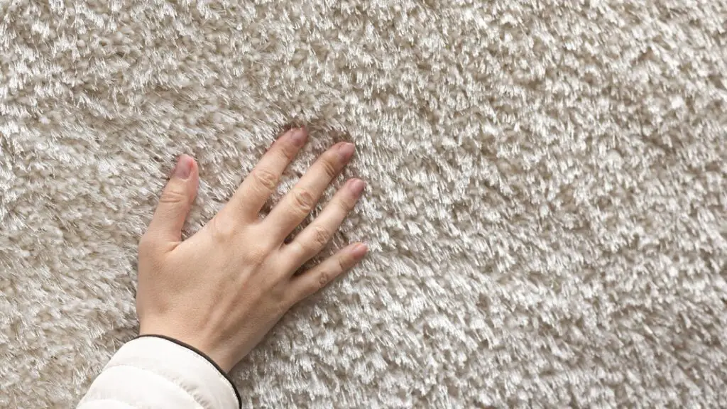 Key Carpet Considerations for Rentals