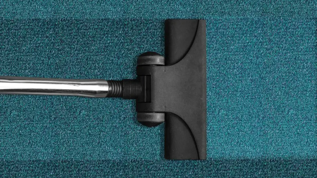 Maintaining rental property carpet