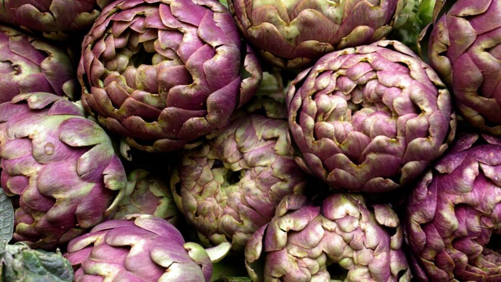 Nitrogen fixing plants