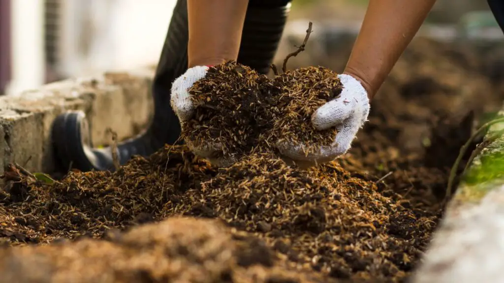 Promoting a Healthy Soil Ecosystem