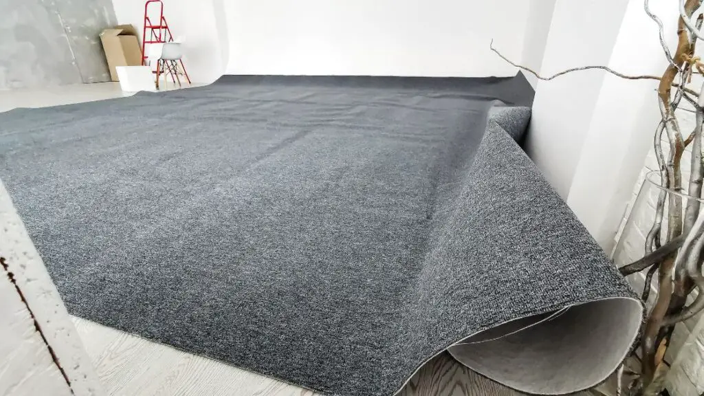 Protecting Your Carpet Investment