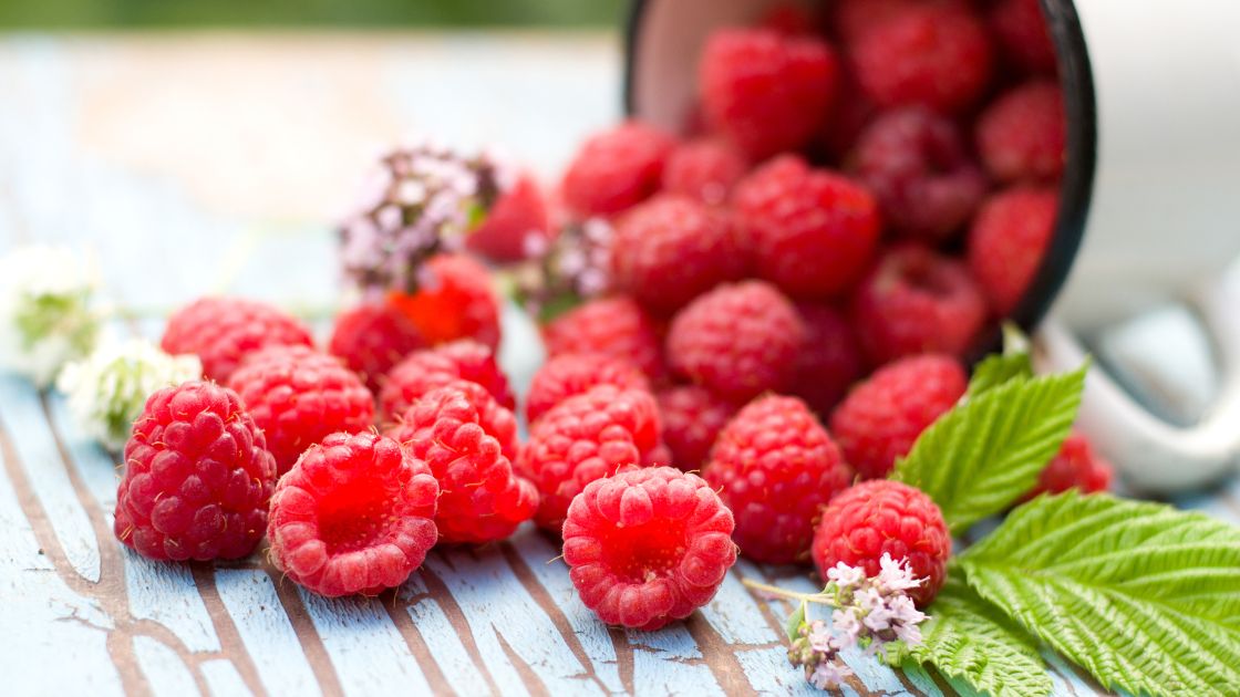 Raspberry Companion Planting Tips