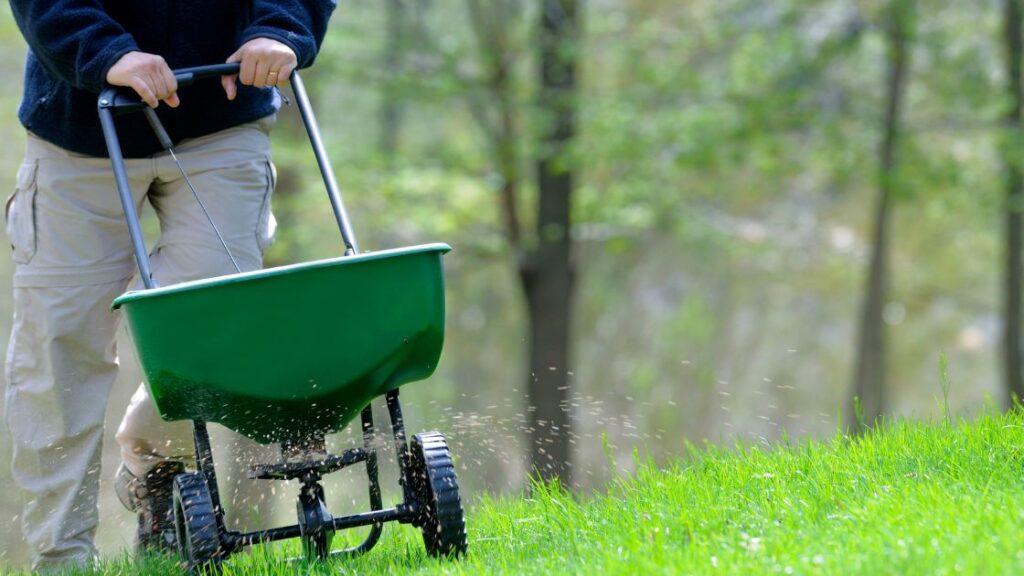 Tailoring Fertilizer Choice to Your Lawns Needs