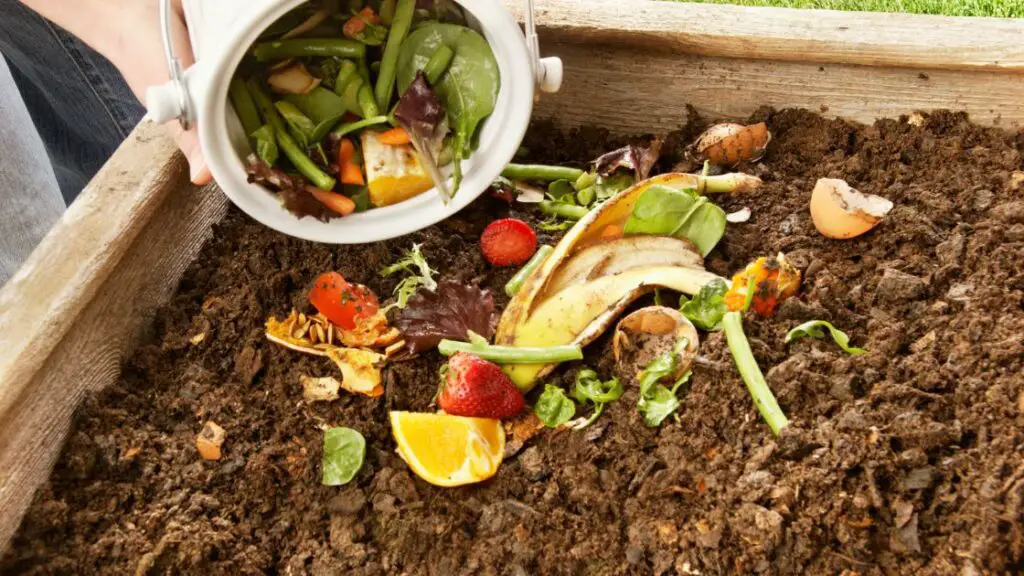 The Importance of Composting