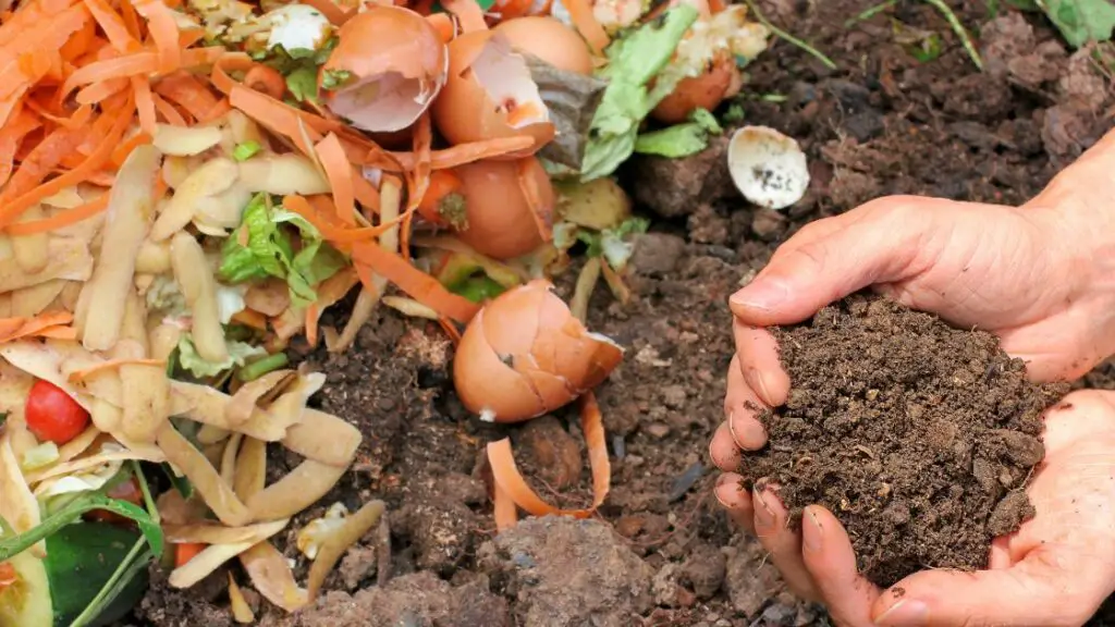 The Role of Beneficial Microorganisms