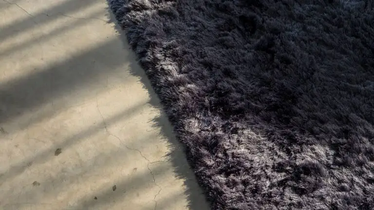 Unveiling the Best Carpet for Concrete